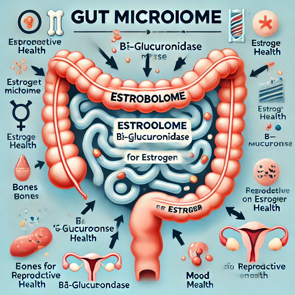 How Your Gut Health Impacts Hormone Balance