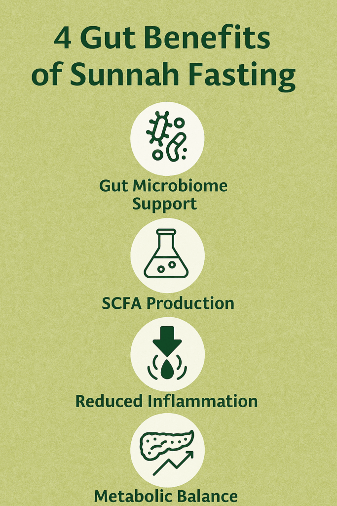 Infographic showing 4 gut health benefits of Sunnah fasting: improved microbiome diversity, boosted SCFA production, reduced inflammation, and balanced metabolism.”